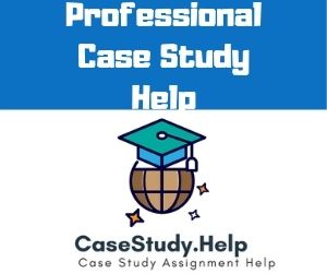Professional Case Study Help